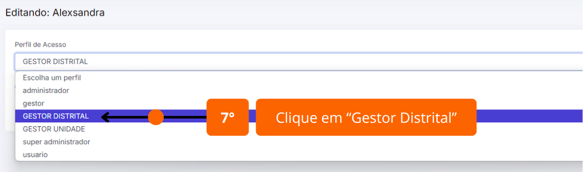 Seleção Gestor Distrital